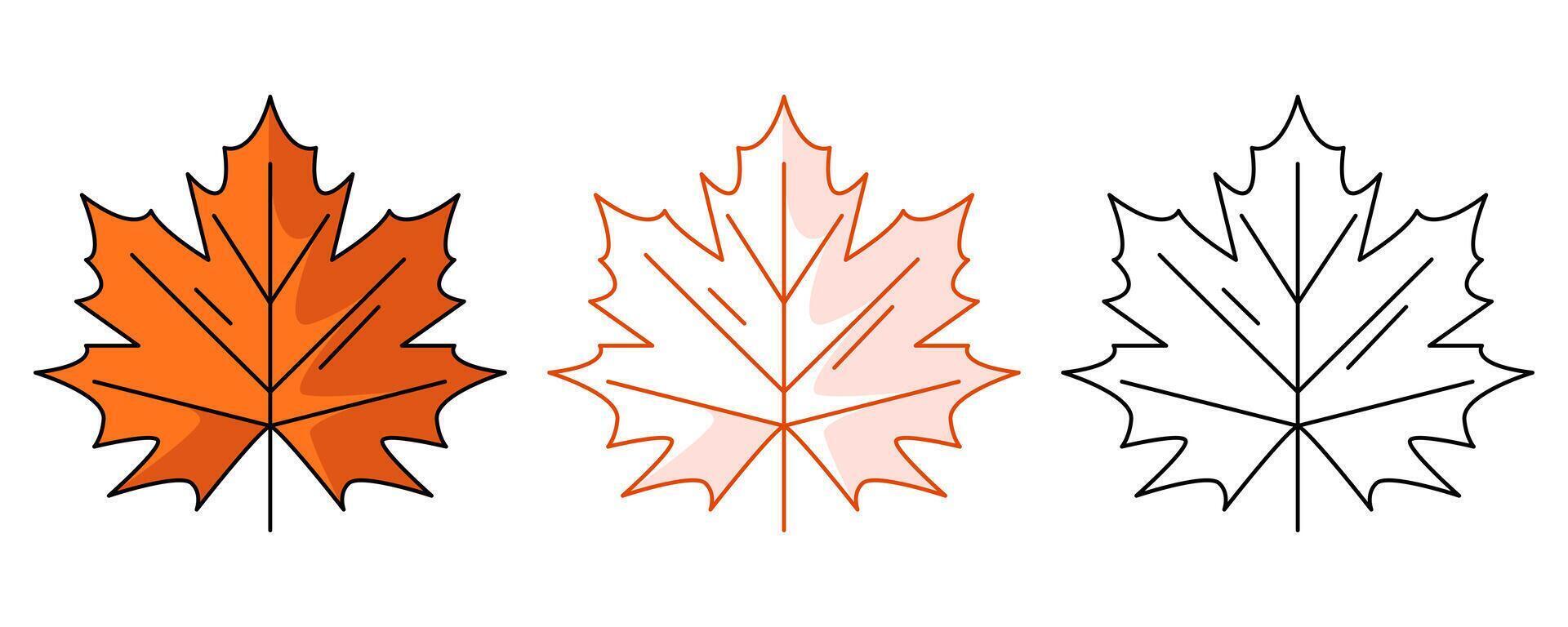 Autumn maple leaf, colorful and line icon set. Fall seasonal concept, flat outline icon, monochrome red and color illustration. For logo, sticker, coloring book, label vector
