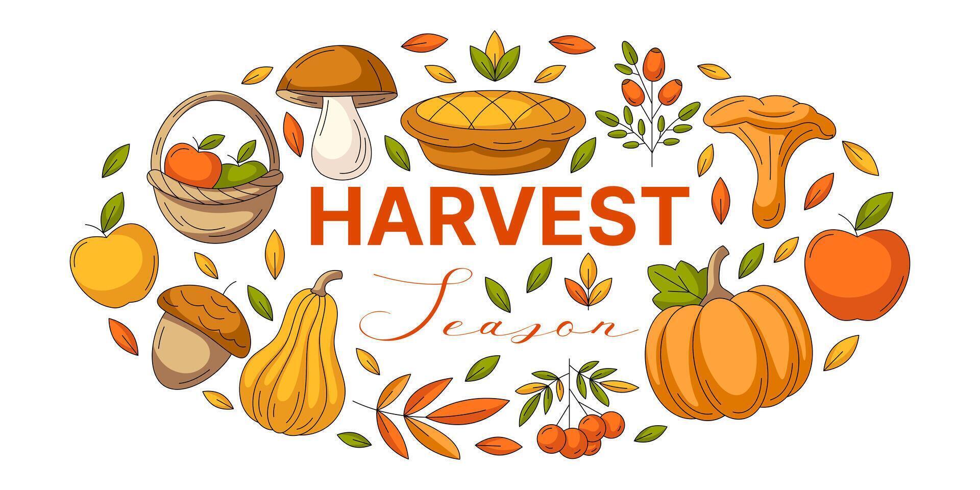 Harvest season, fall card with pumpkin pie, squash, basket with apple, mushroom, acorn, rowan and rosehip on horizontal white background. Autumn illustration for poster, banner, print, festival vector