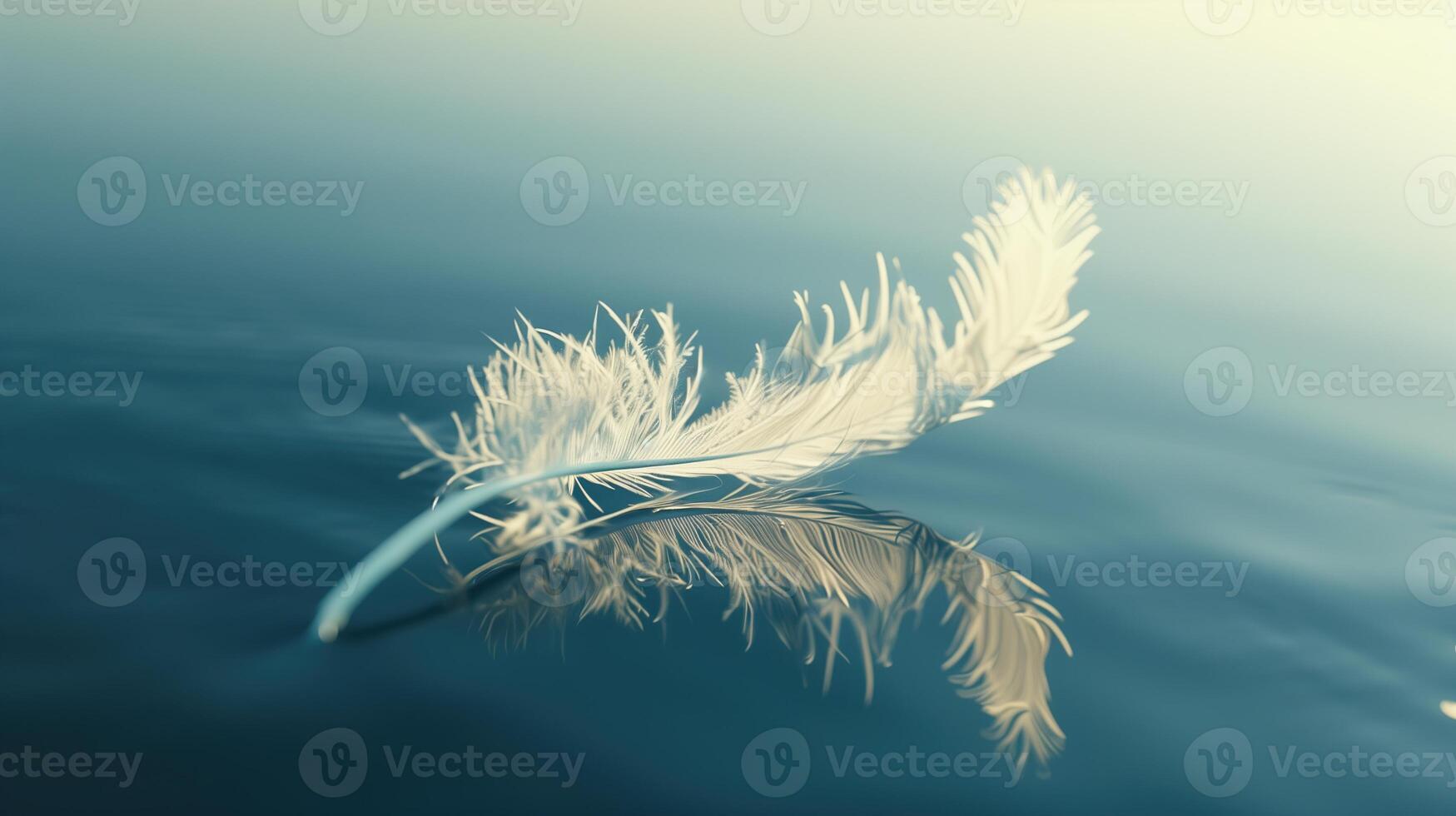 Graceful floating feather photo