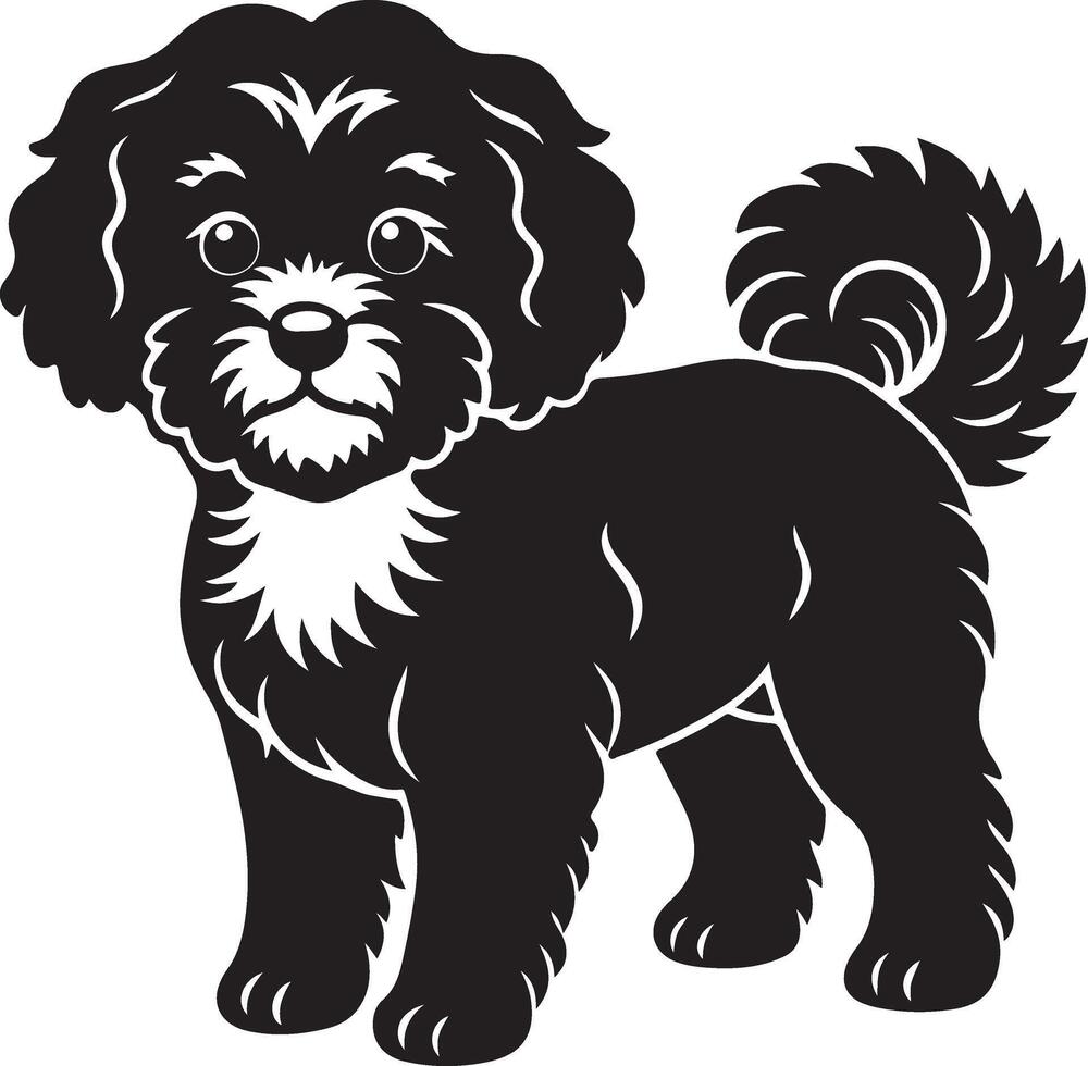 Silhouette image of Bichon Frise vector