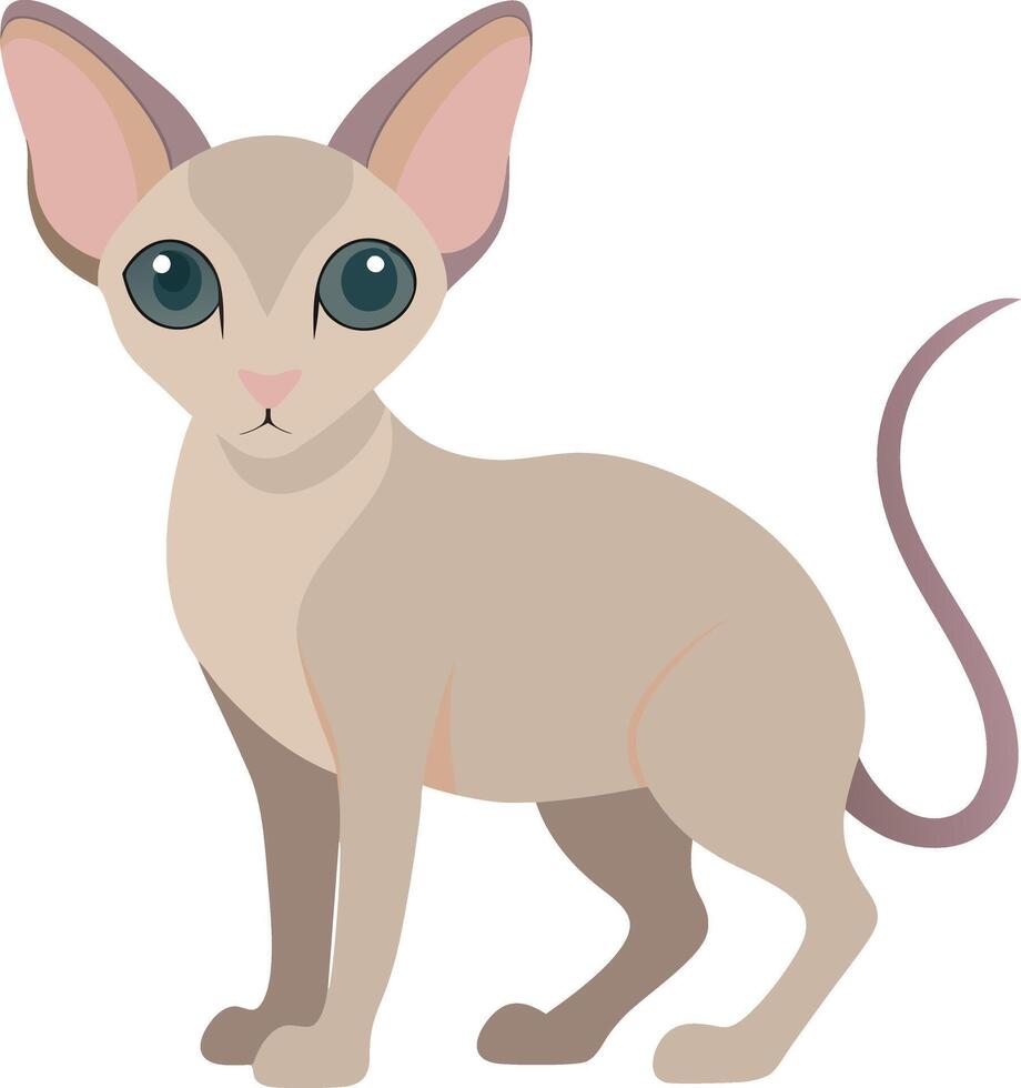 Flat color image of Sphynx Cat vector