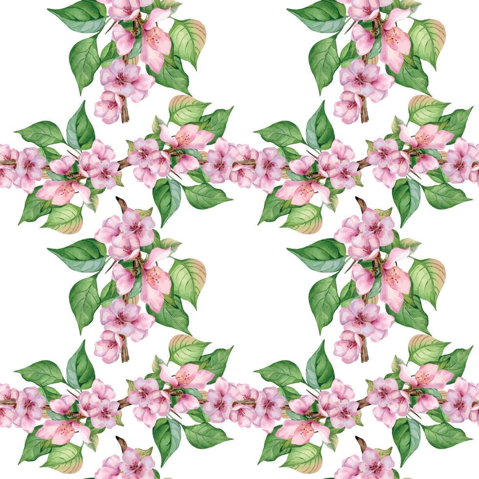 Blooming branch of almond tree with pink flowers seamless pattern watercolor isolated on white. Blossom fruit tree branch hand drawn. Design element for packaging, backdrop, wallpaper, textile. vector