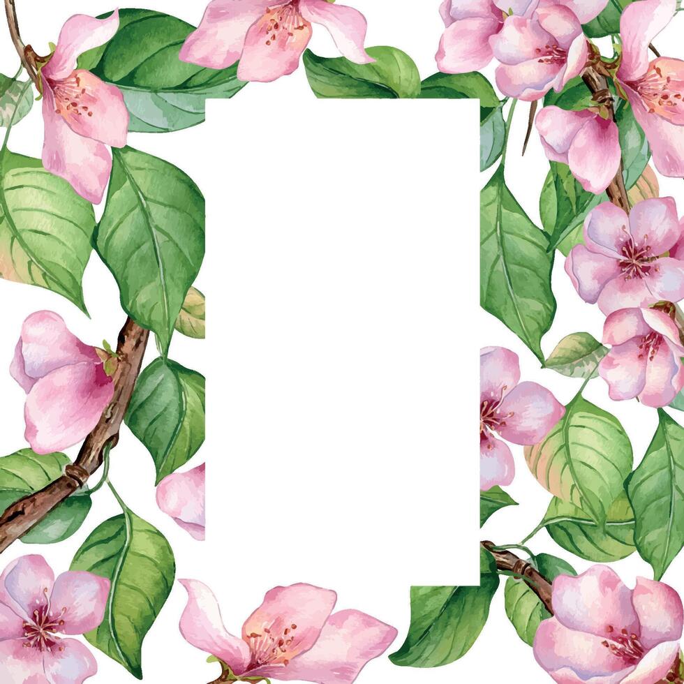 Watercolor frame with pink blooming branch isolated on white. Design template of floral frame with pink white flowers hand drawn. Element for wedding invitation, card, packaging, label product. vector