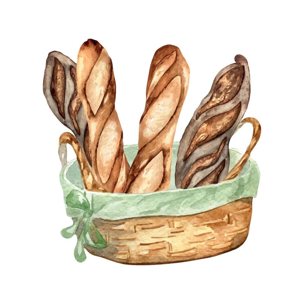 Straw basket with baguettes watercolor illustration isolated on white background. Rye loaf French bread hand drawn. Drawn bread for signage. Element for design trade, bakery, grocery store. vector
