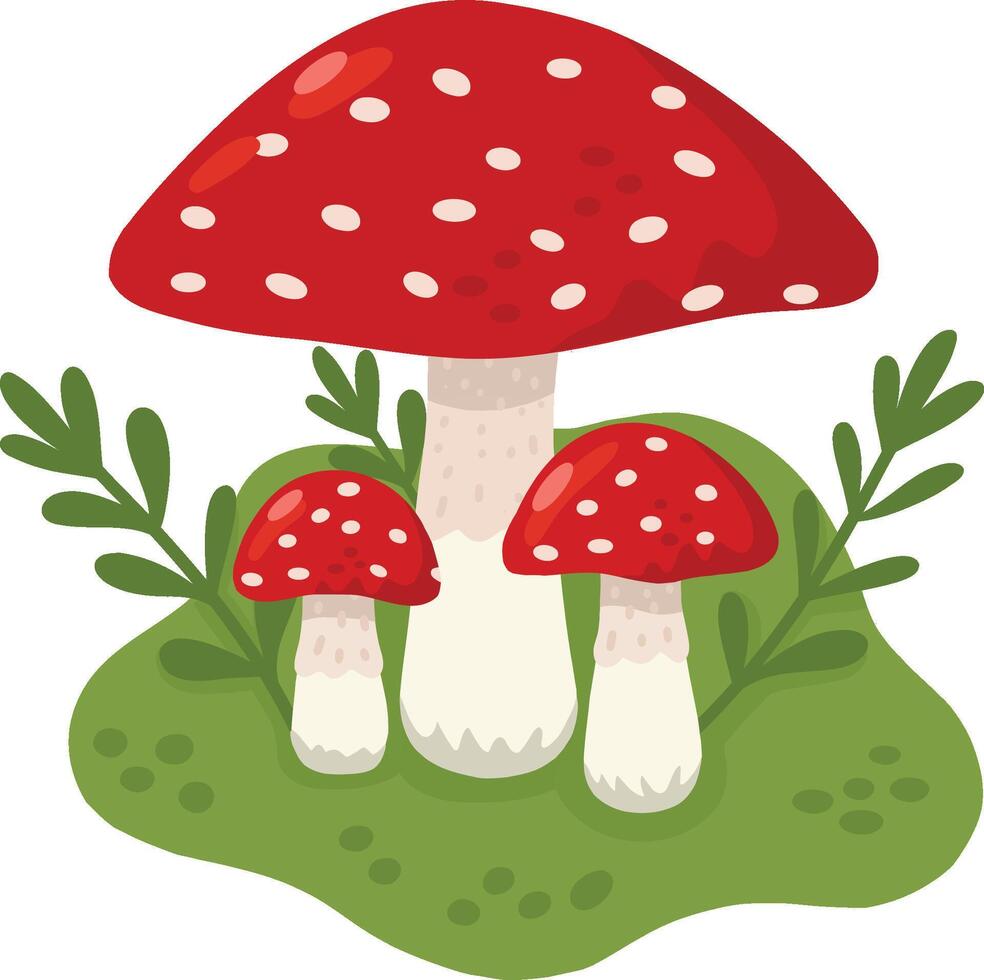Fly agaric mushrooms in a forest clearing. A color image of fly agaric in a mushroom meadow. illustration for children's books and biology textbooks, children's books, web design and menus. vector