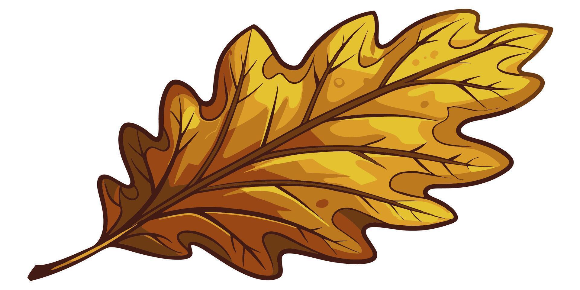 Oak leaf. Oak leaf on a white background. illustration vector