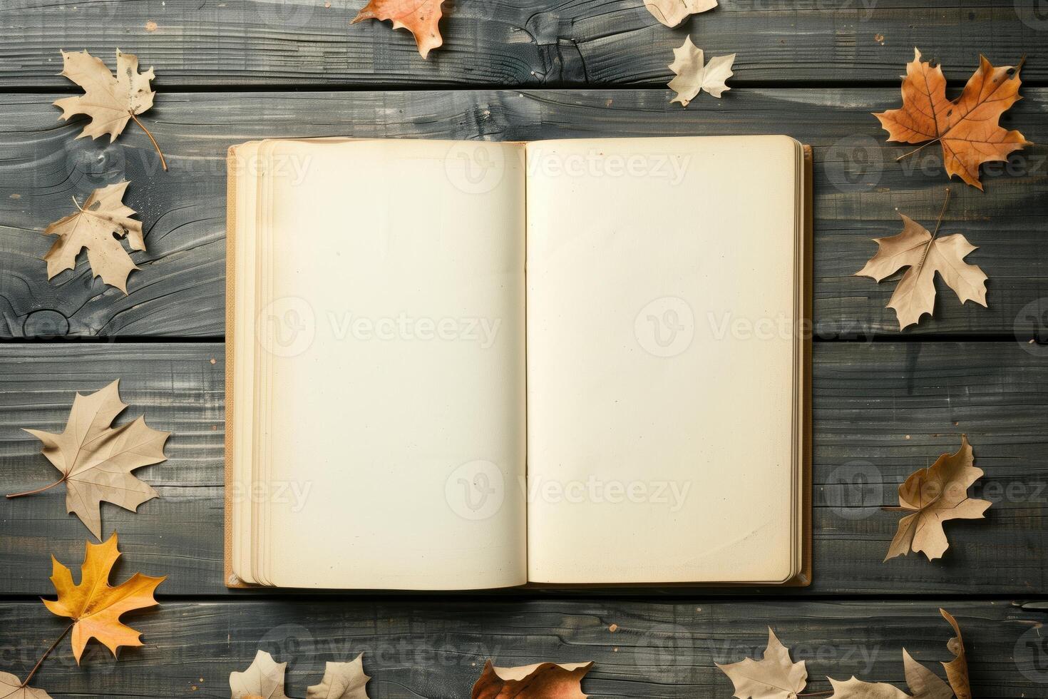 Open vintage book on an old wooden table. Withered leaves around. Dark background. photo