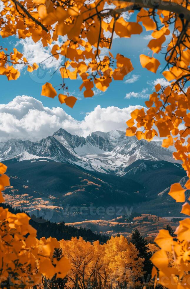 Sunny autumn landscape with snowy mountains surrounded by forests photo