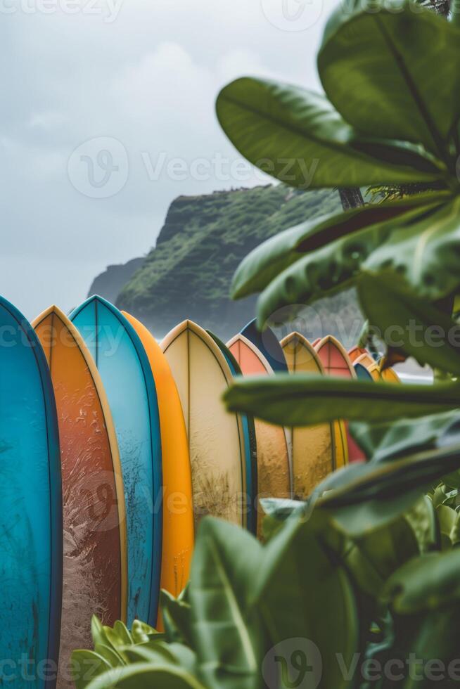 Colorful surfboards on a tropical beach photo