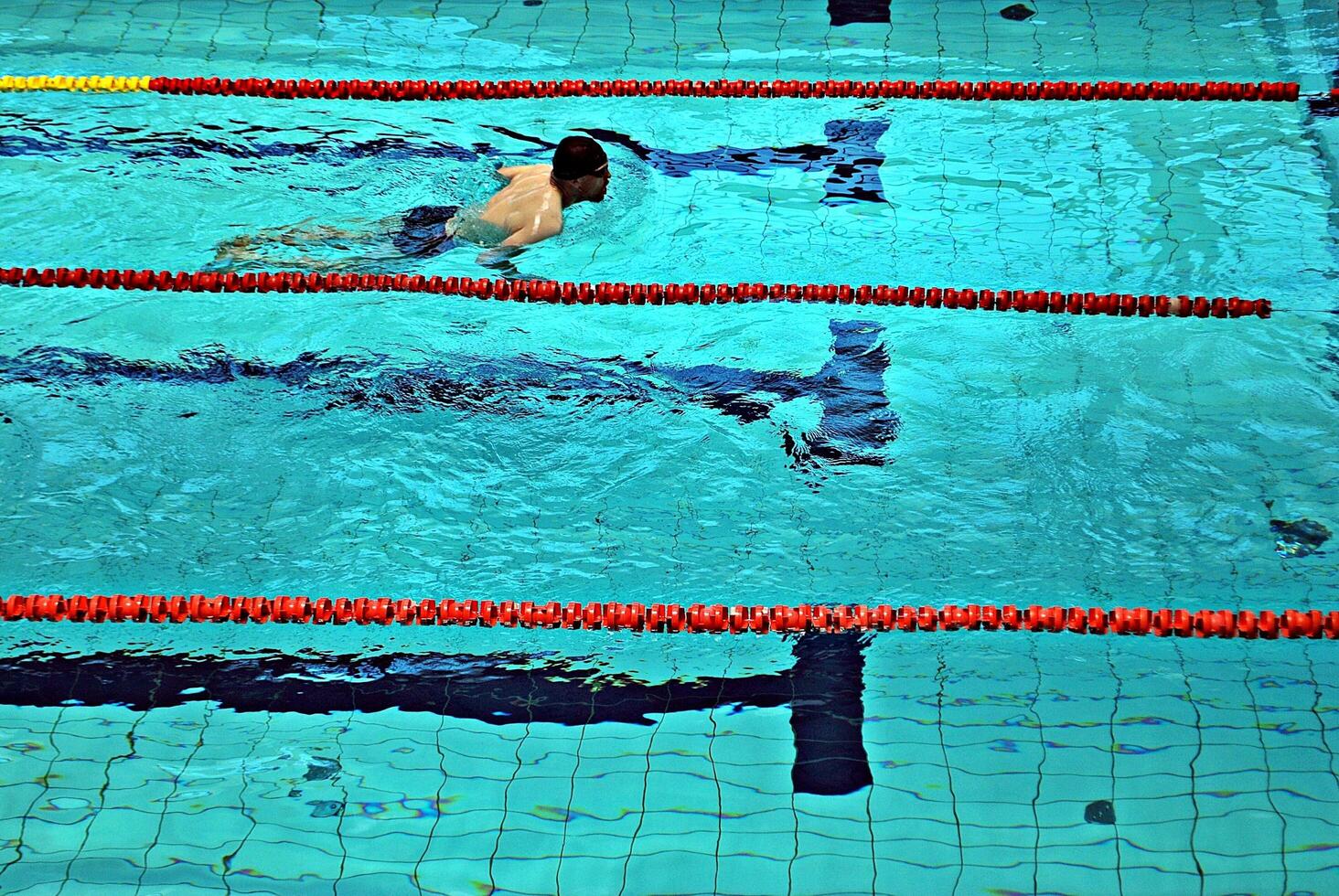 Swimming in the swimming pool photo