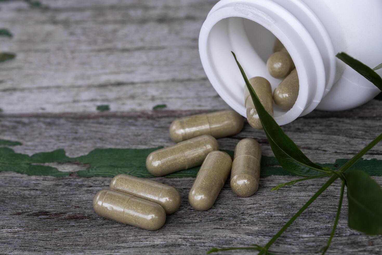 Herbal medicine capsules with Andrographis paniculata photo
