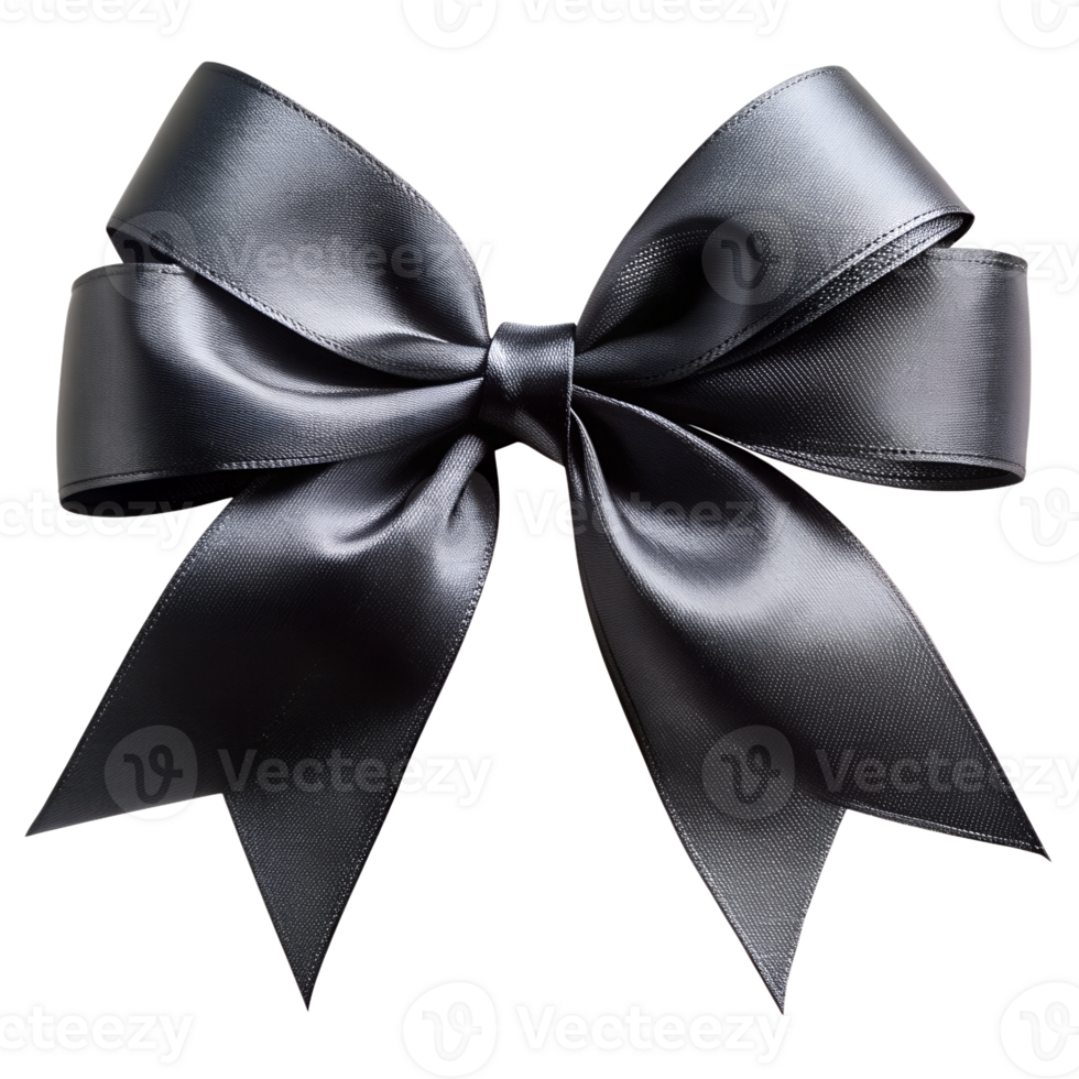 Black ribbon bow on horizontal strip, isolated on transparent background png