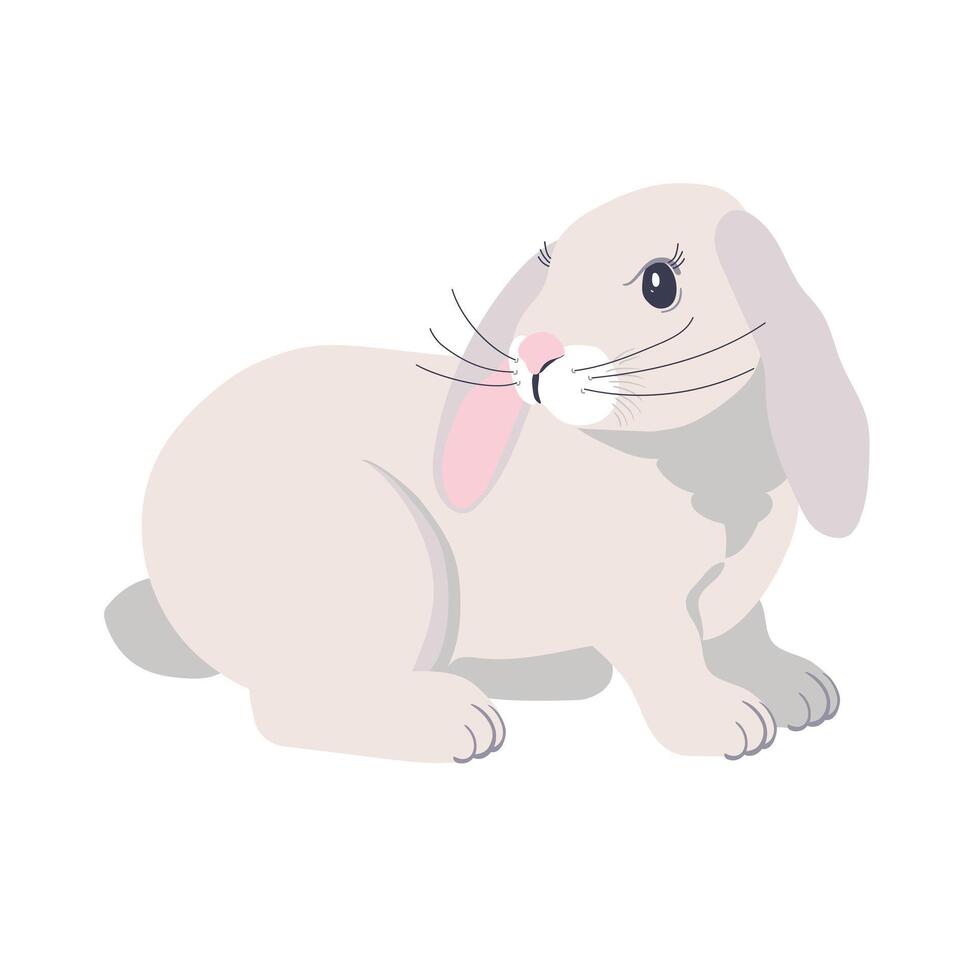 White fluffy rabbit with drooping ears. Cute Bunny for an Easter card. Design for the mid-autumn holiday. Isolated on a white background. vector