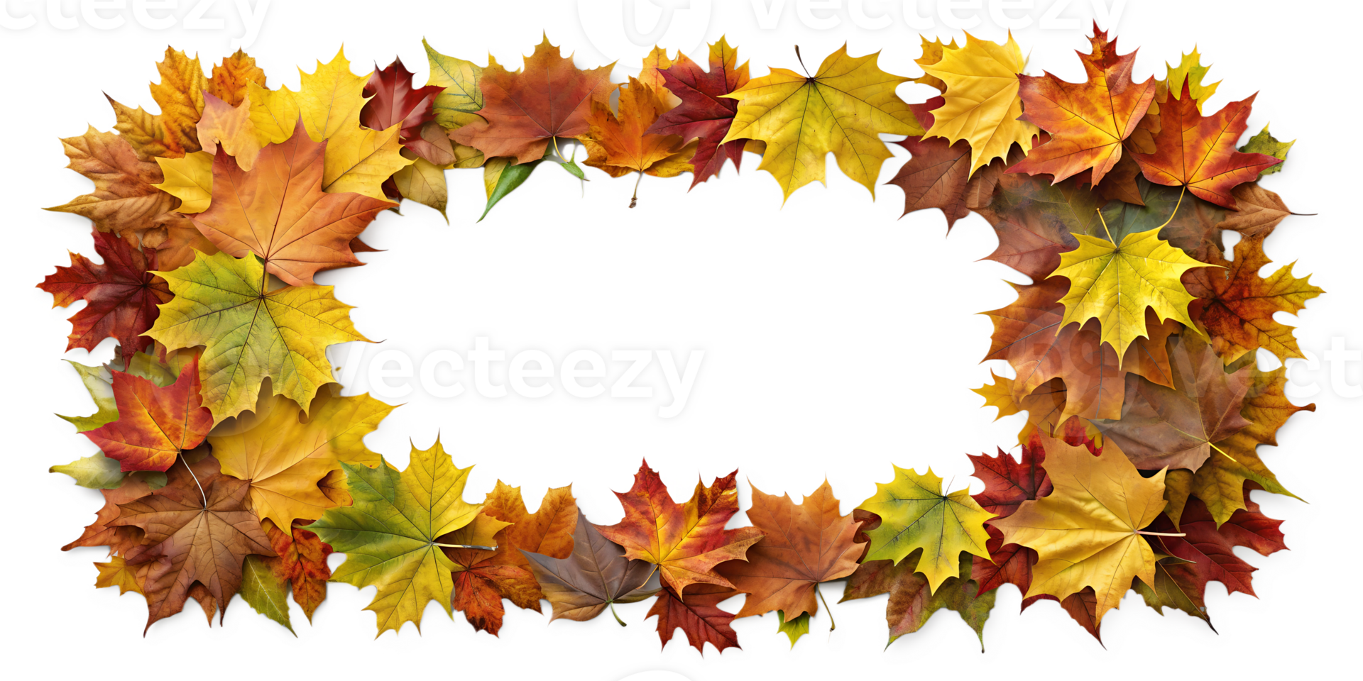 Colorful fall leaves rectangular frame on transparent background png