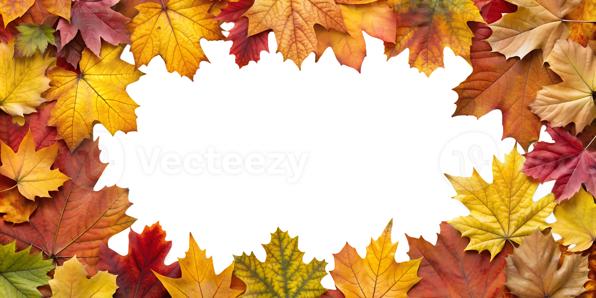 Vibrant autumn leaves border on transparent background png