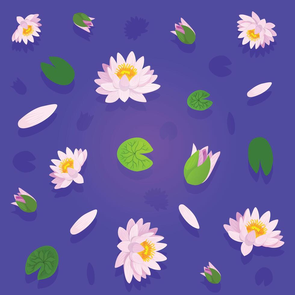 Pink Lotus flower. Isolated illustration element Background vector