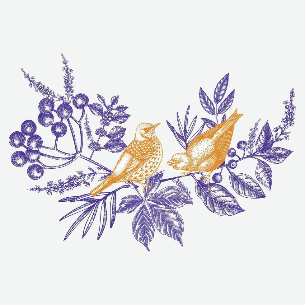 Silhouette Birds and Natural Elements sketch background vector