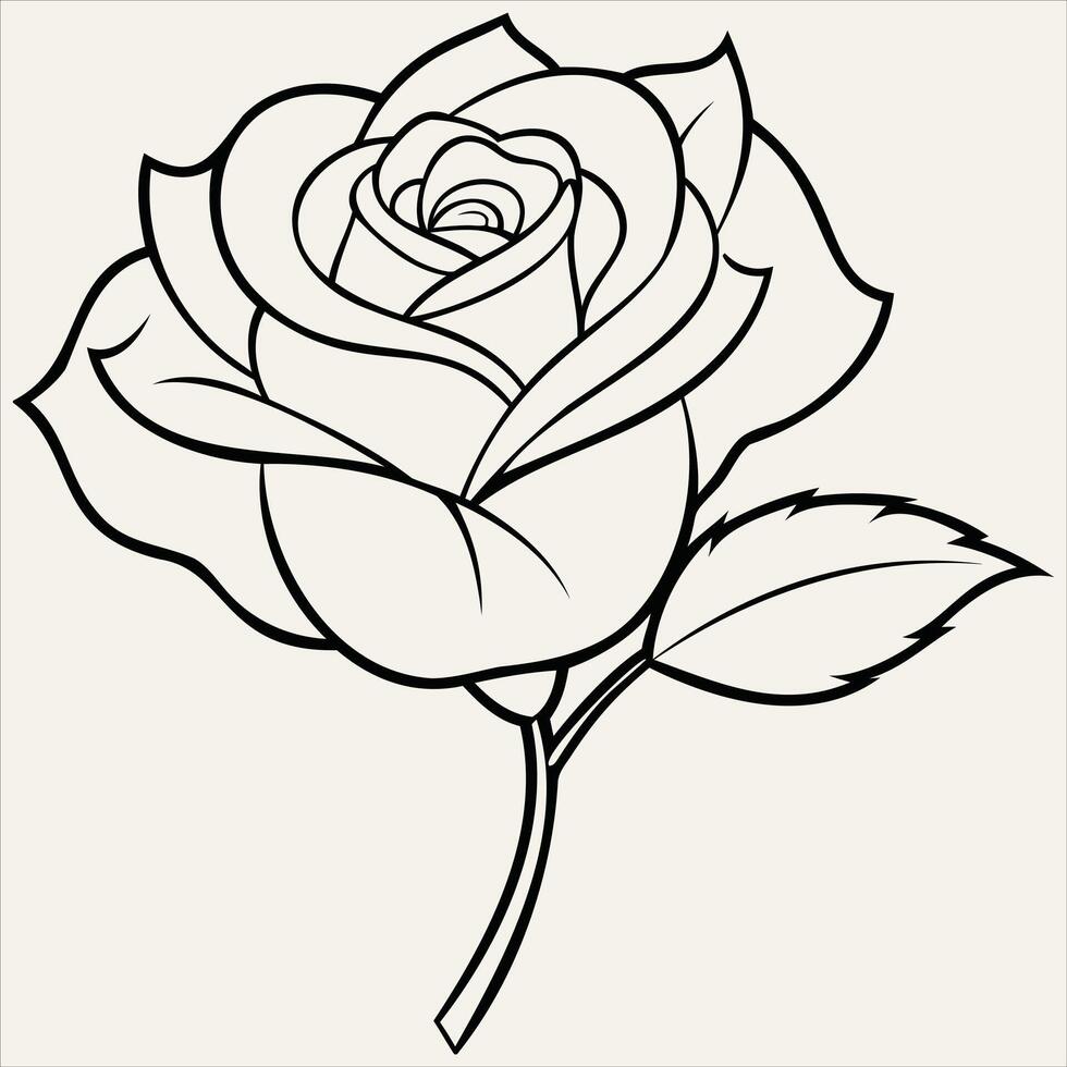 Rose Flower Line Art Illustration vector