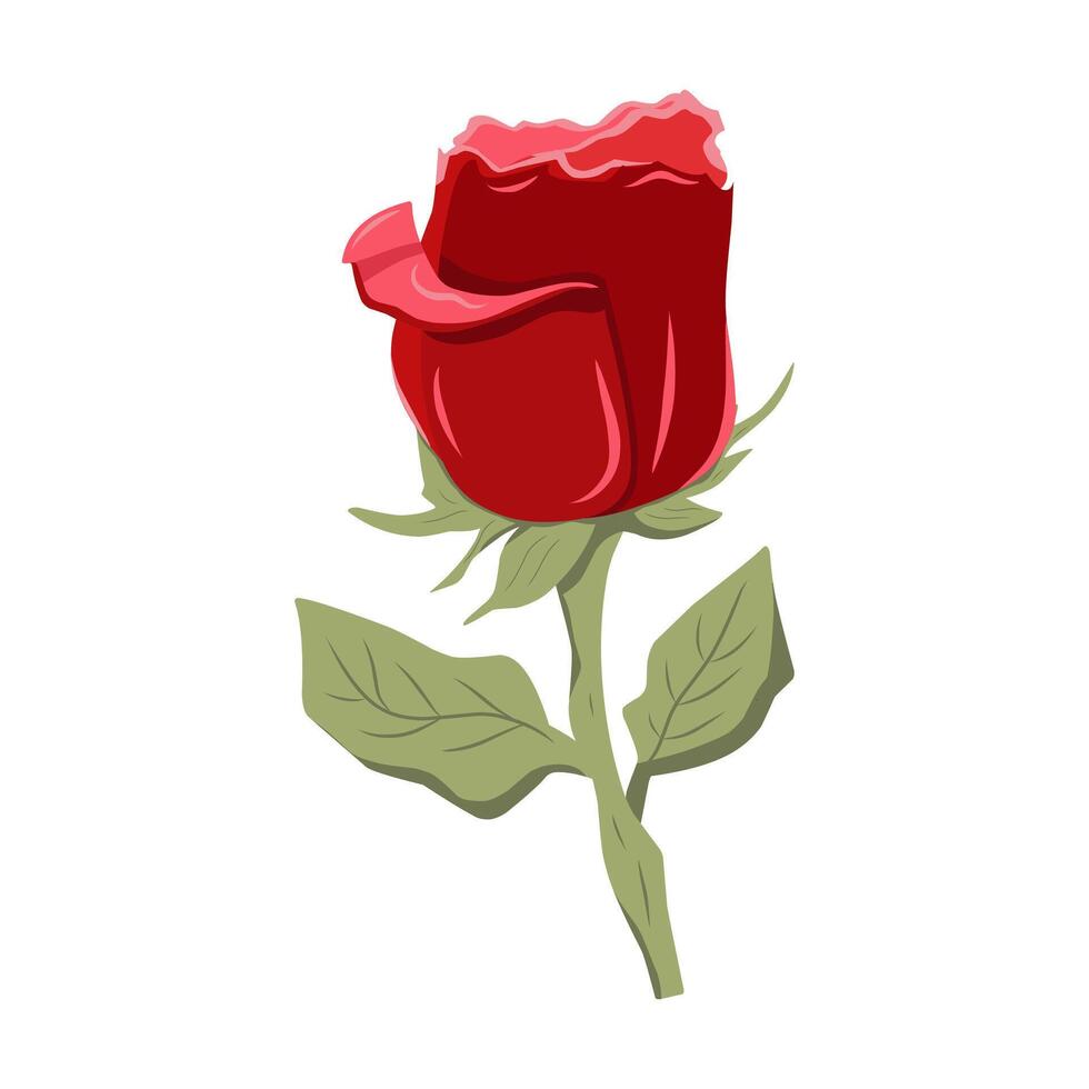 Red rose flower with stem and leaves. Hand drawn graphic isolated on white background. Cartoon style retno. vector