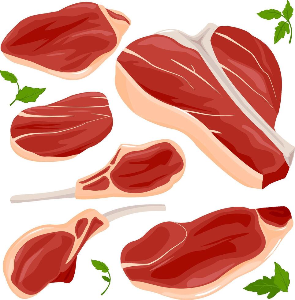 Pieces of red raw meat and steaks. Ribs, chops, butchery steaks slices of cut beef meat for cooking and barbecue. vector