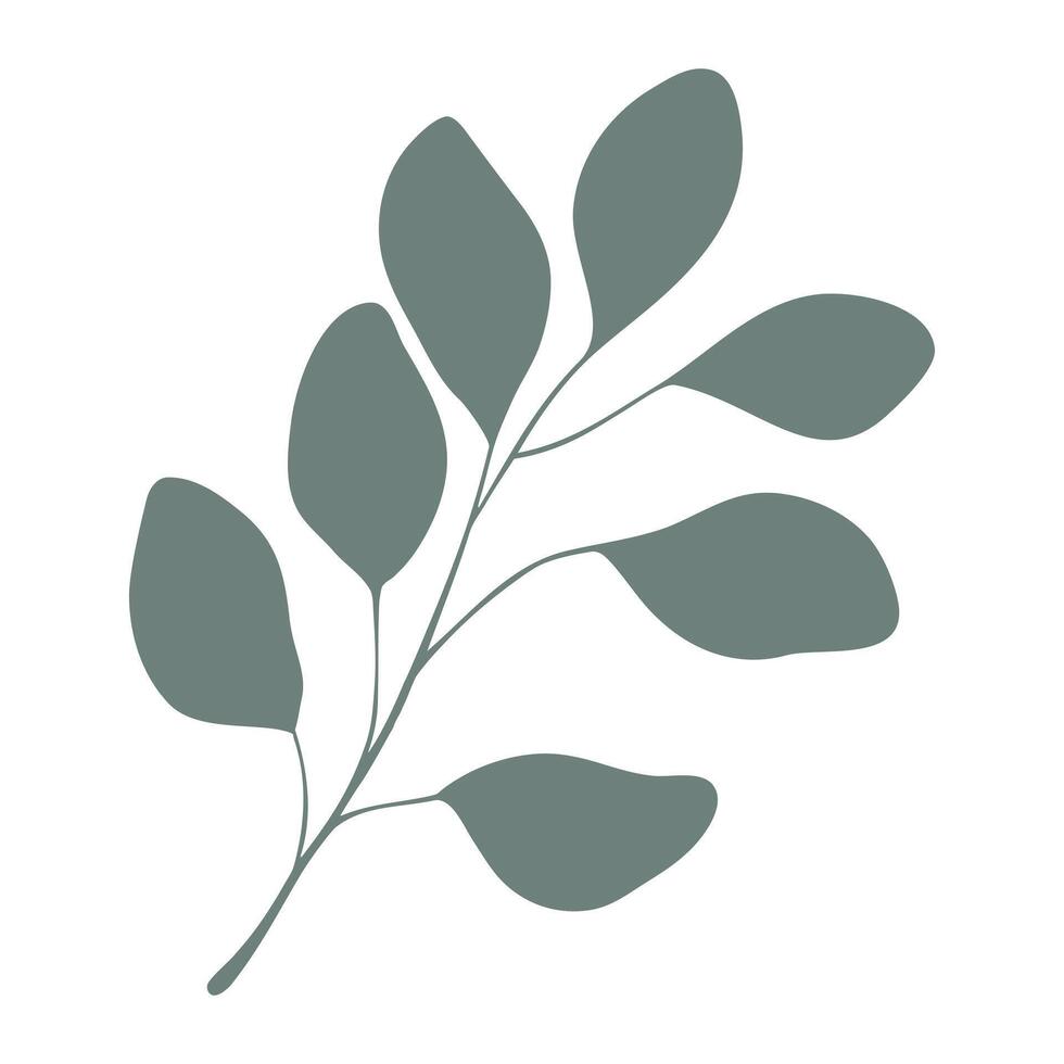 Silhouette Eucalyptus branch, leaves. Isolated on white background. vector