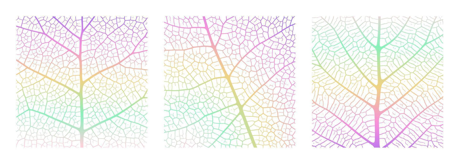 Leaf vein texture abstract background with close up plant leaf cells ornament texture pattern. vector