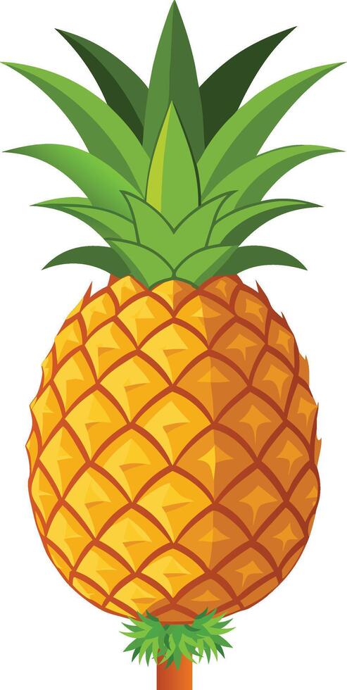 Realistic Design of whole pineapple vector