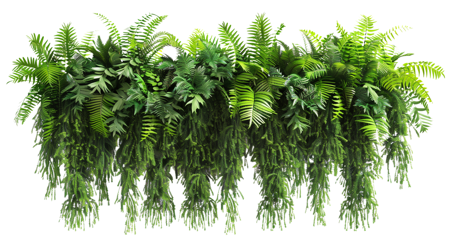 A minimalist balcony garden filled with lush ferns and hanging vines, designed as a Green Oasis isolated on a transparent background png