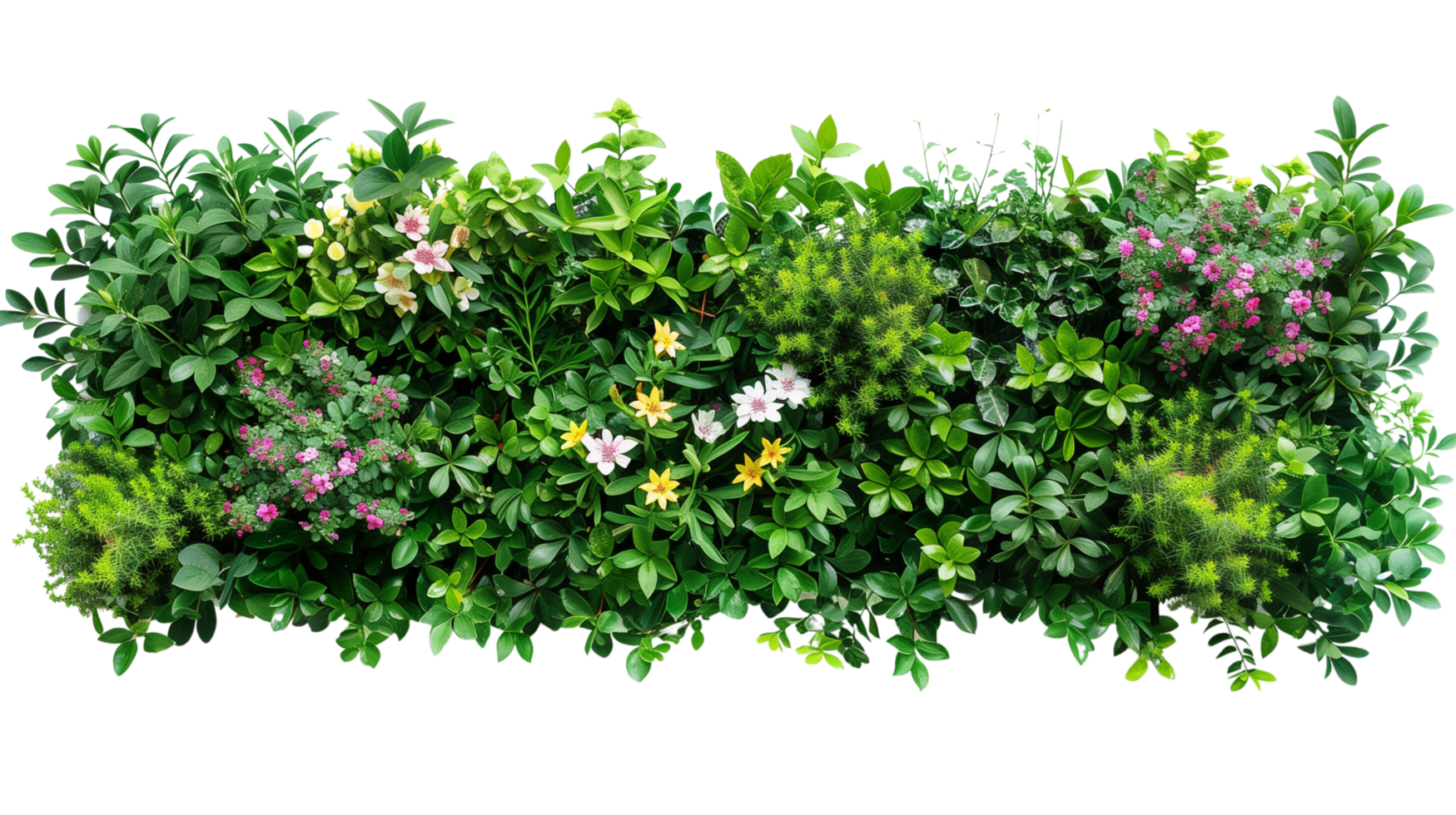 A perfectly arranged green flower bed, a masterplan showing various flowers and plants isolated on a transparent background png