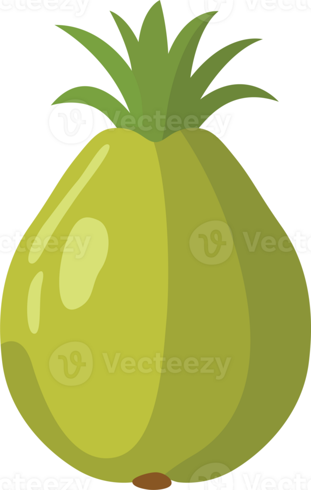 A vibrant tropical fruit in format, featuring exotic colors and lively details, perfect for adding a refreshing and tropical touch to any digital project or design. png