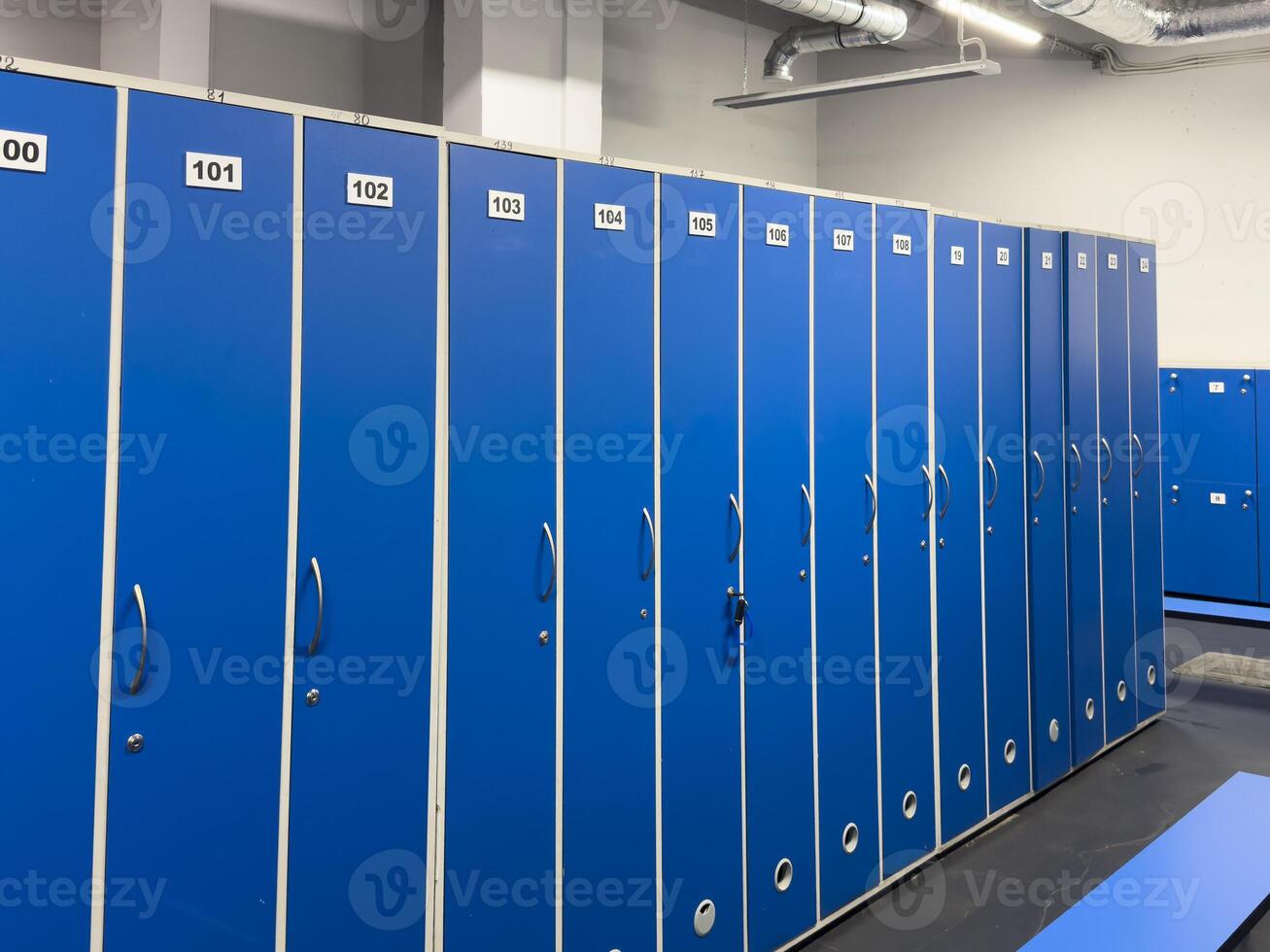 guardaesquis with individual lockers in the basement photo