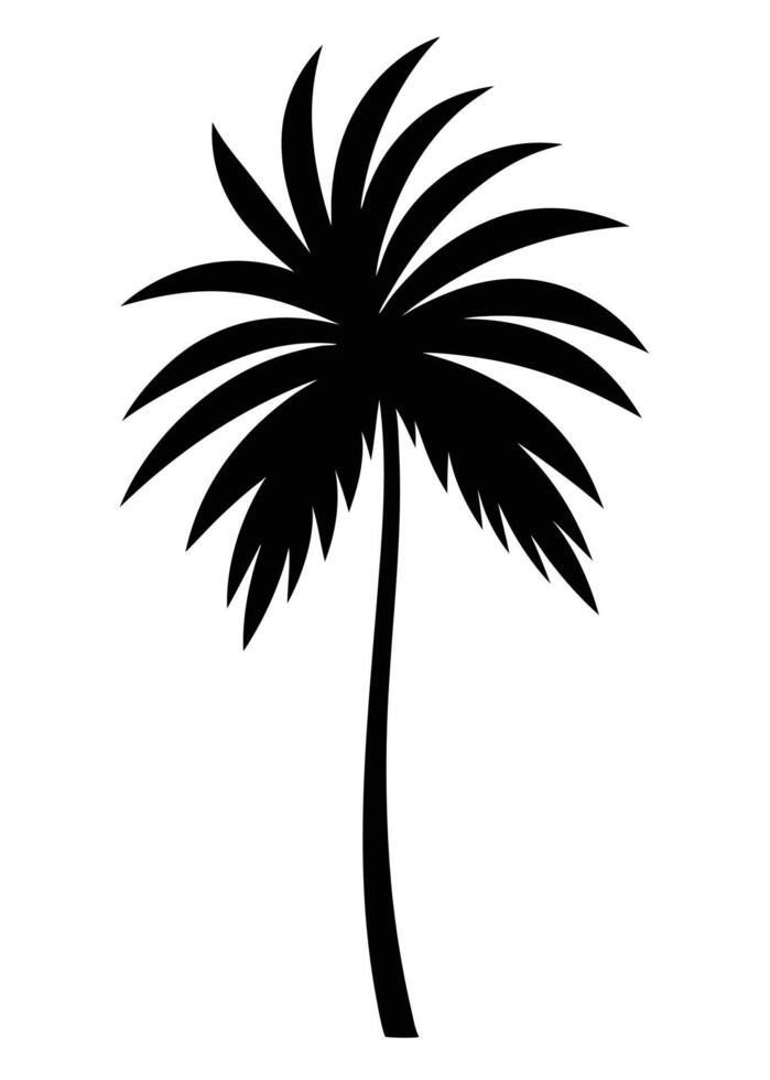 Black palm leaf silhouette on white background vector