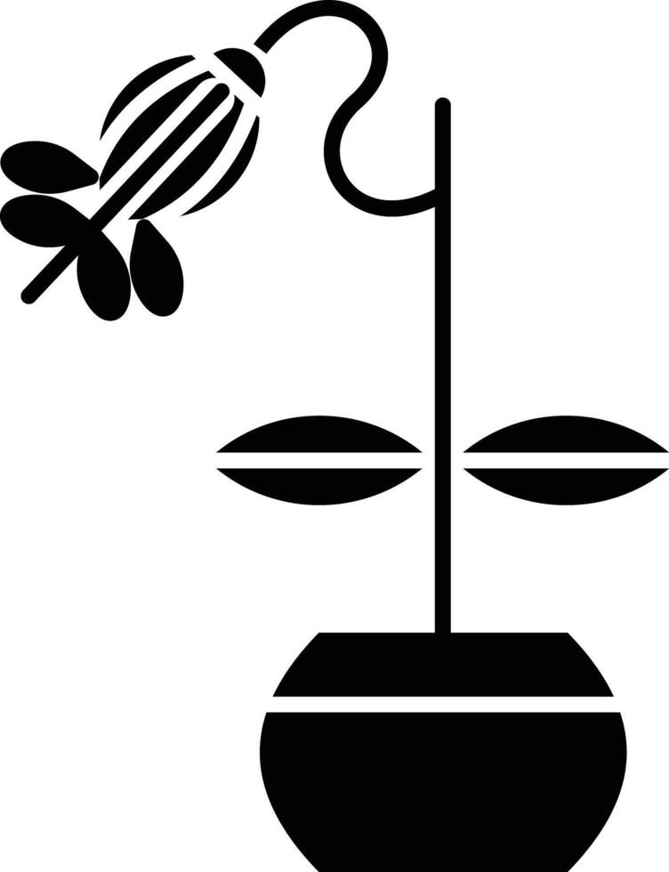 bleeding heart vine solid glyph illustration vector