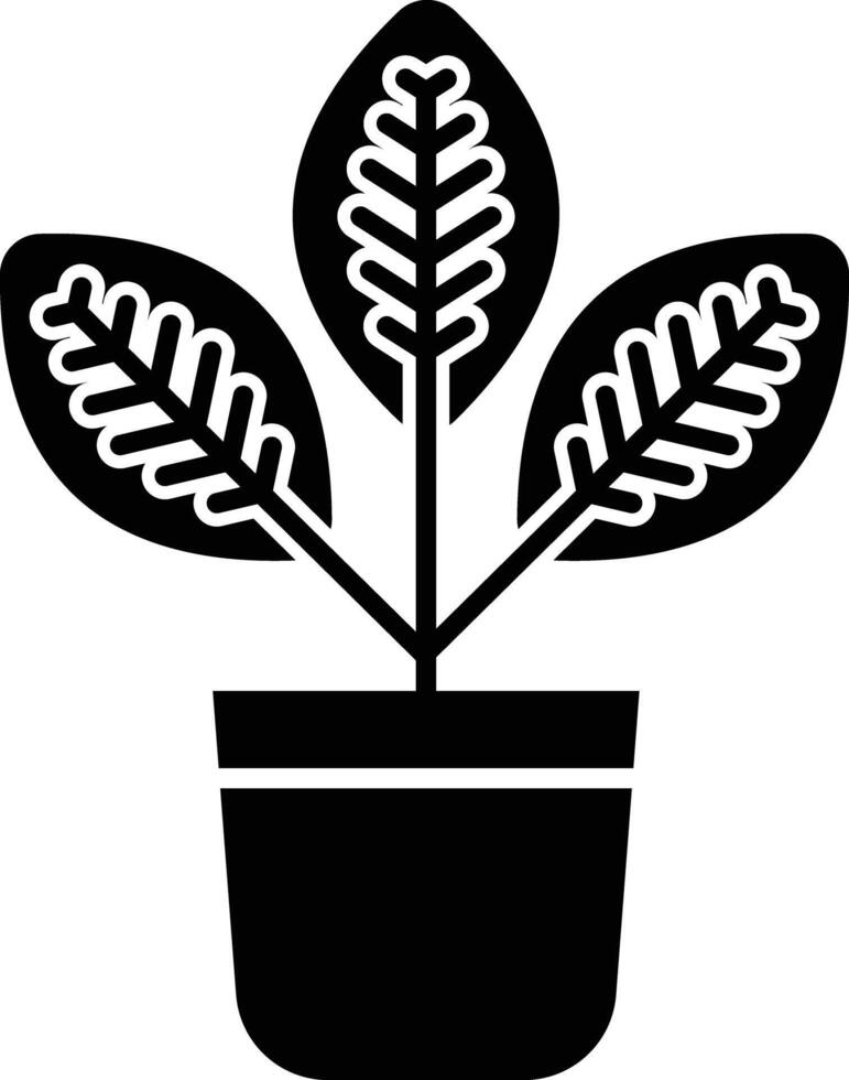Croton plant solid glyph illustration vector