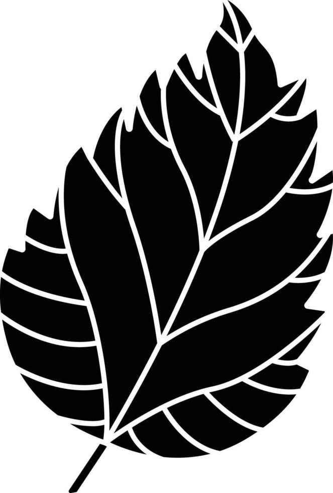 Hibiscus Leaf solid glyph illustration vector
