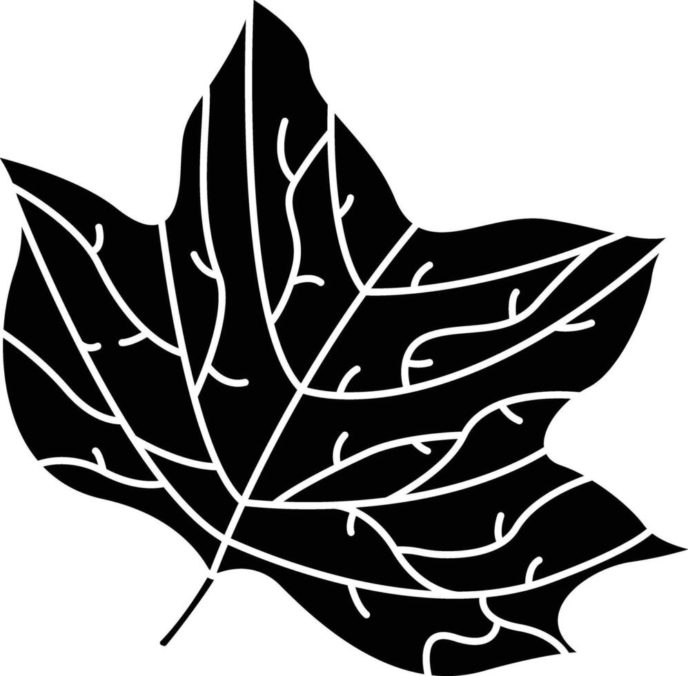 Tulipifera Leaf solid glyph illustration vector