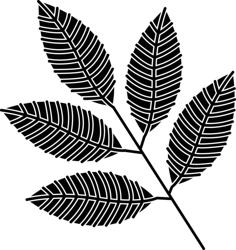 Rowan Leaf solid glyph illustration vector