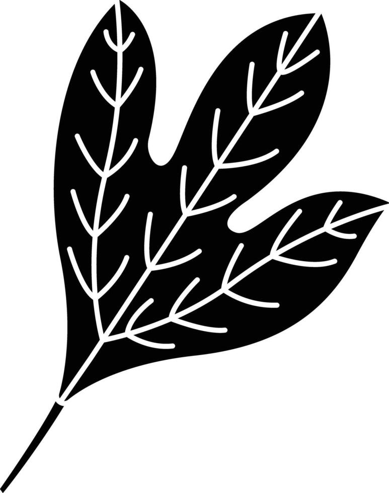 Sassafras Tree solid glyph illustration vector
