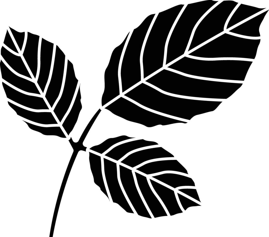 Rose Leaf solid glyph illustration vector