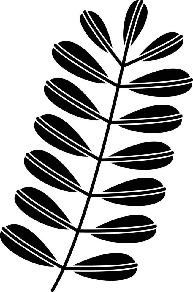 Tamarind Leaf solid glyph illustration vector