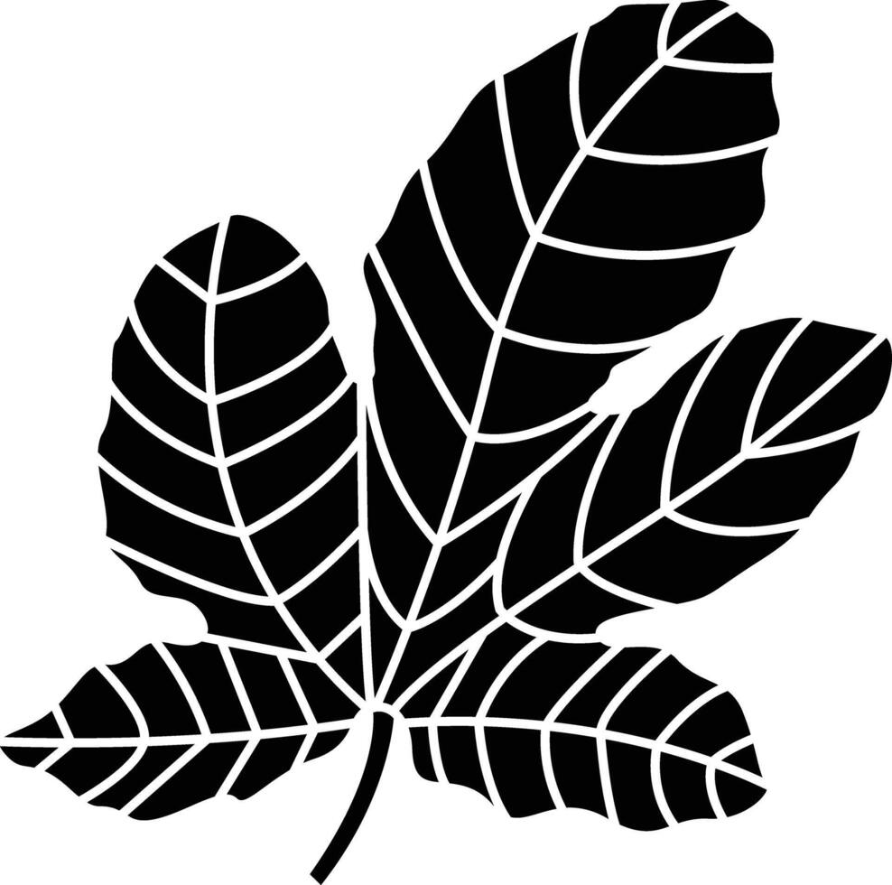 Fig Leaf solid glyph illustration vector