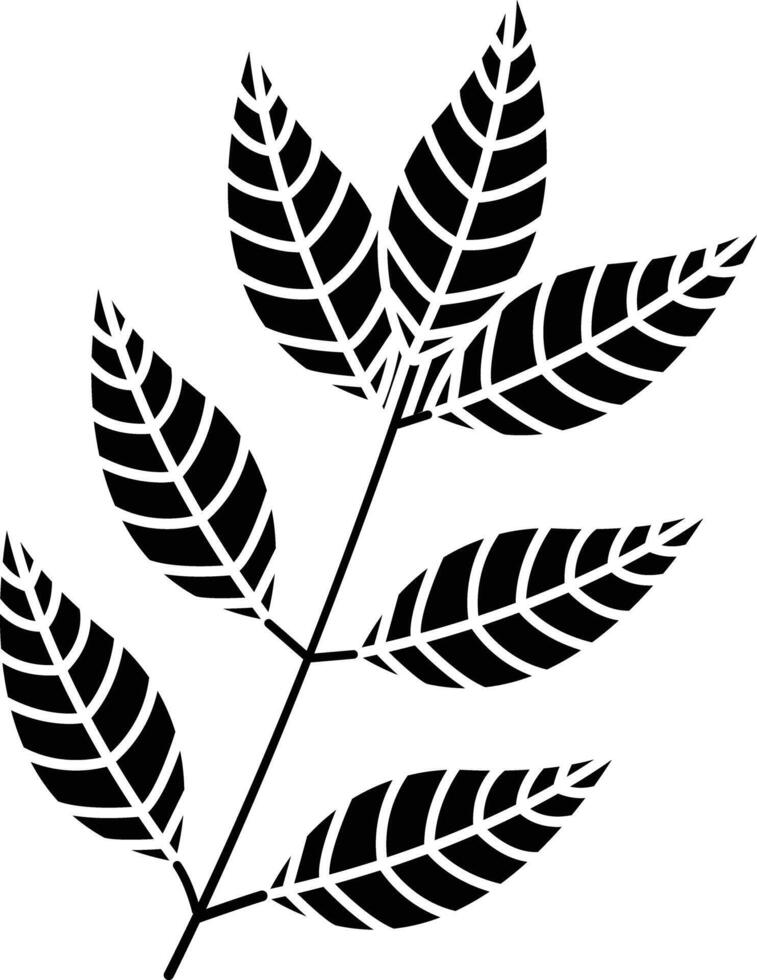 Curry Leaf solid glyph illustration vector