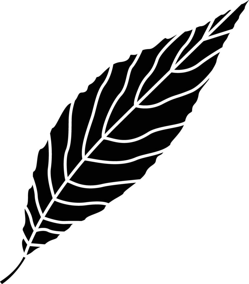 Willow Leaf solid glyph illustration vector