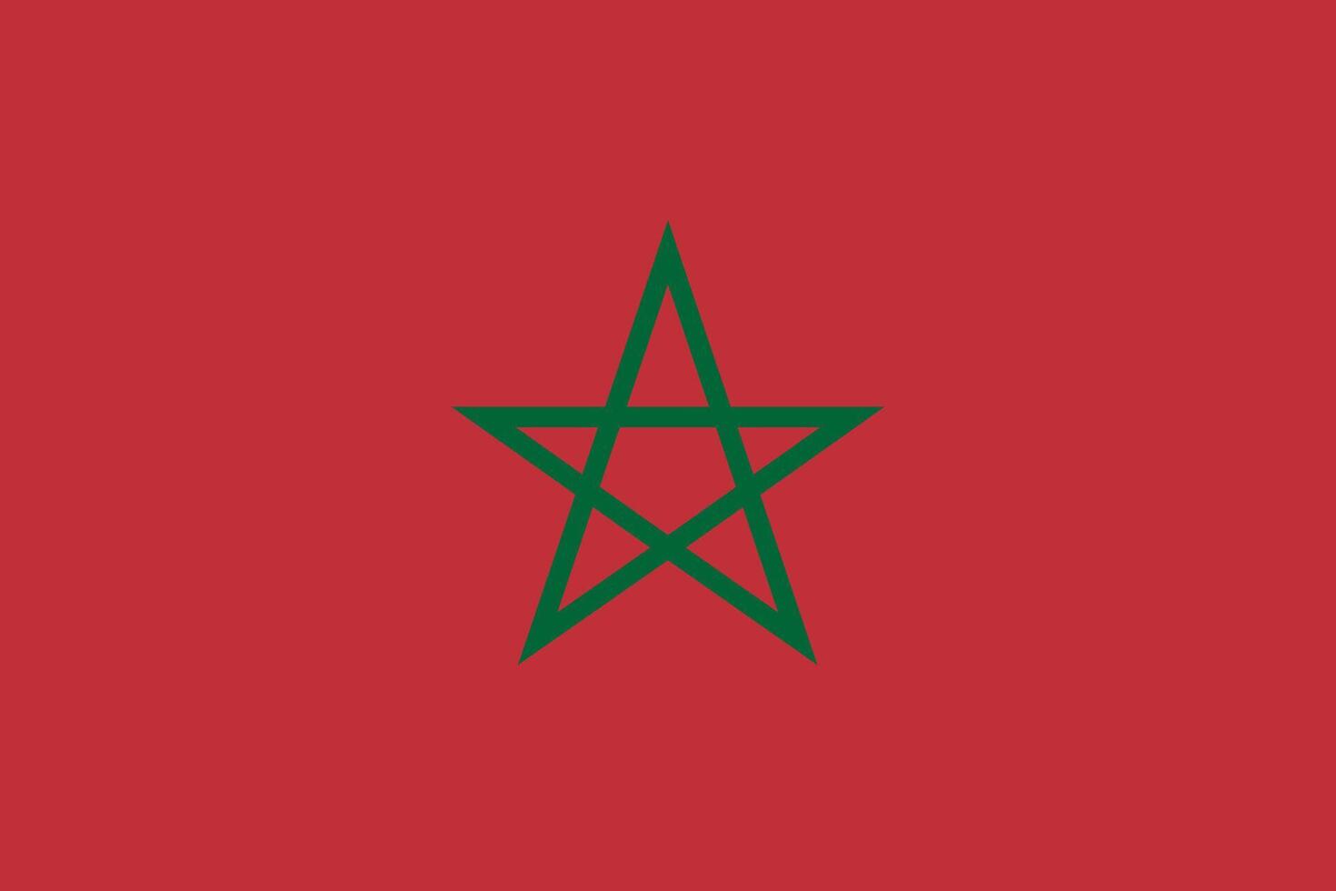 The flag of Morocco vector