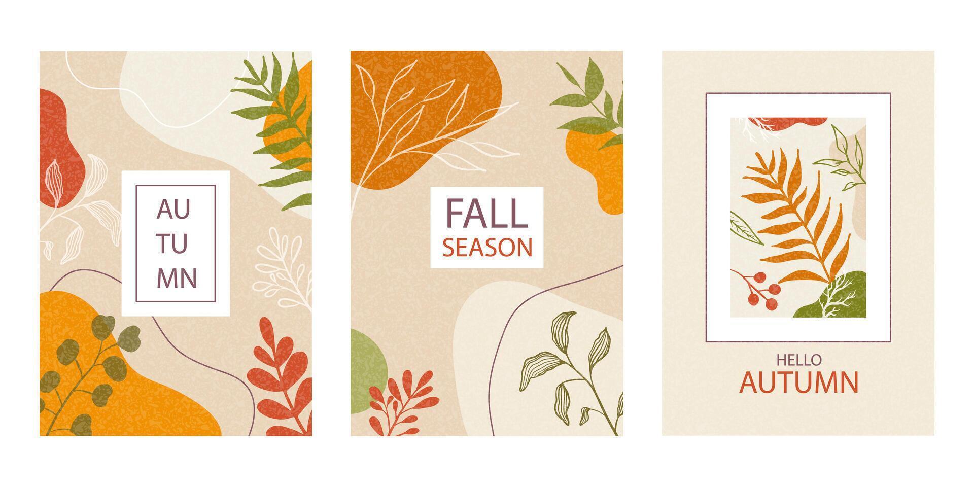 Set of Fall poster, cover, card with autumn leaves, plants. Trendy template for advertising, web, social media, print vector
