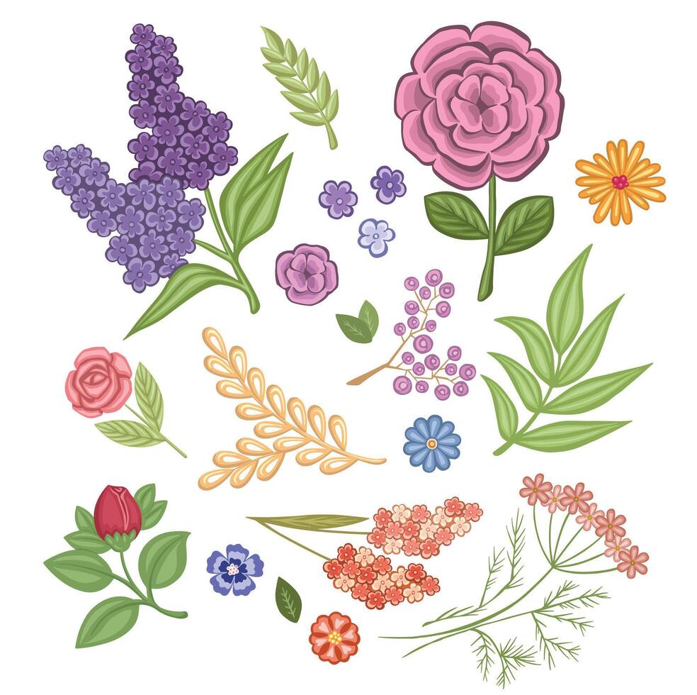 Set of colored ones in Doodle style. flowers for a bouquet, illustration vector