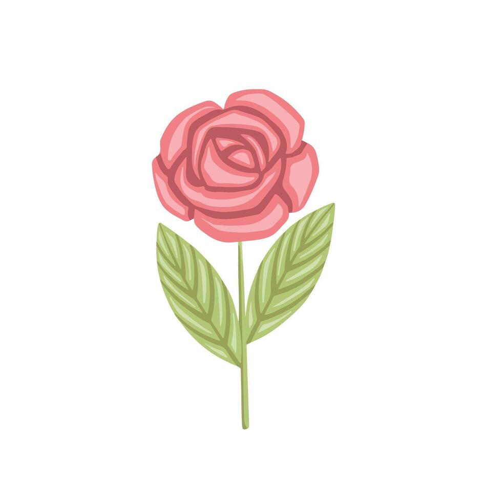Colored rose drawing, hand drawn illustration vector