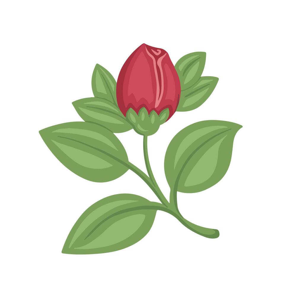 Tulip color symbol, illustration vector