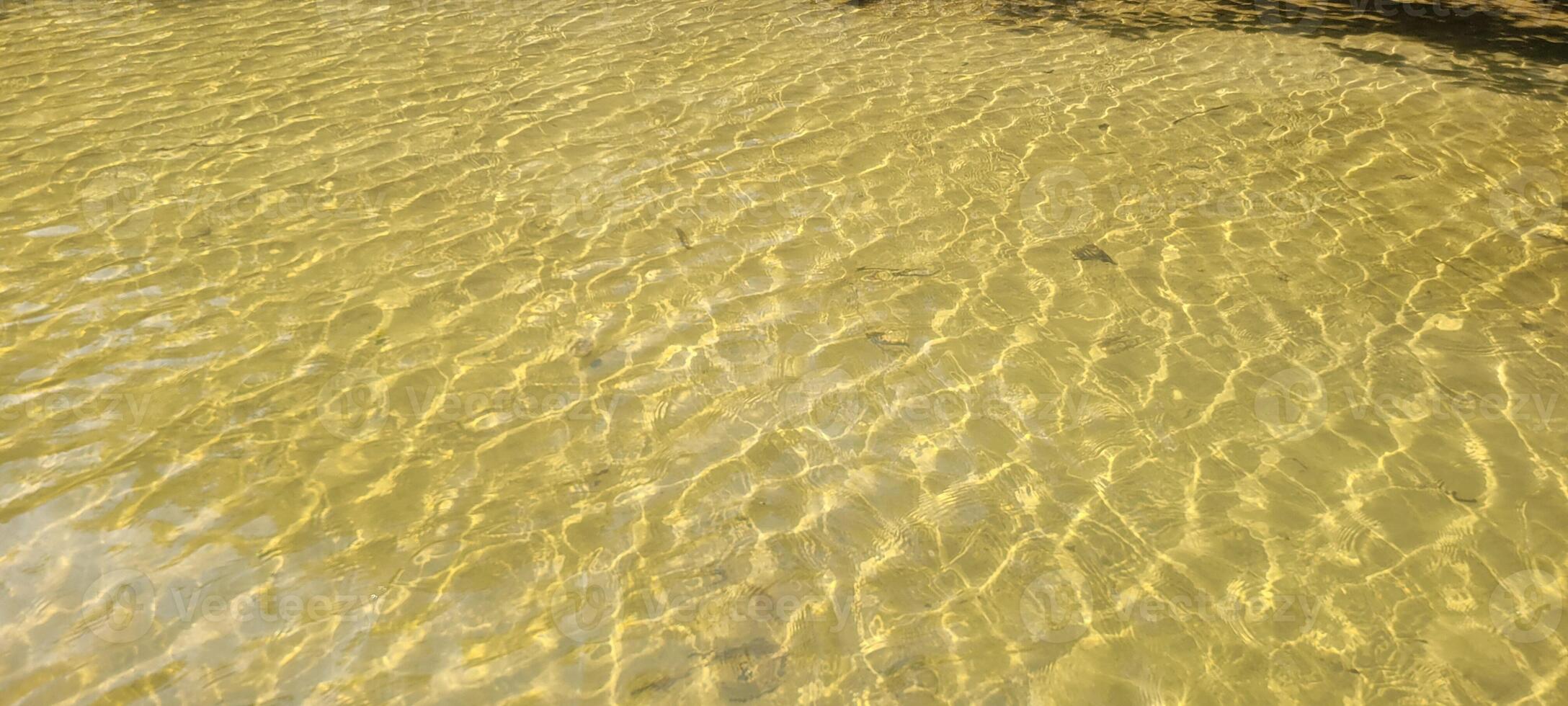 clear water river on the coast in ubatuba on itamambuca beach photo