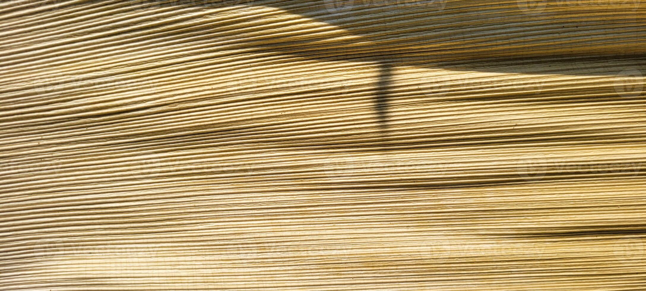 beige abstract background with texture photo